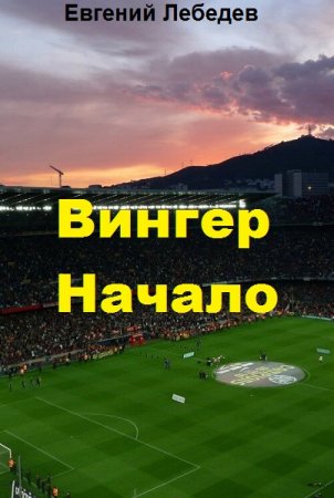 Евгений Лебедев. Вингер. Сборник книг