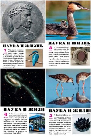 Наука и жизнь №5-8 (май-август 2025)