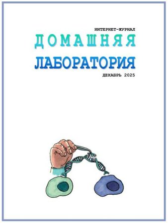 Домашняя лаборатория №12 (декабрь 2025)